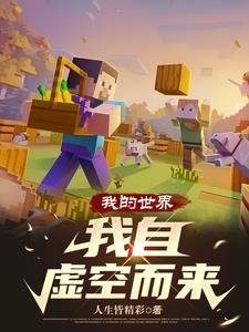 我的世界虚空之界